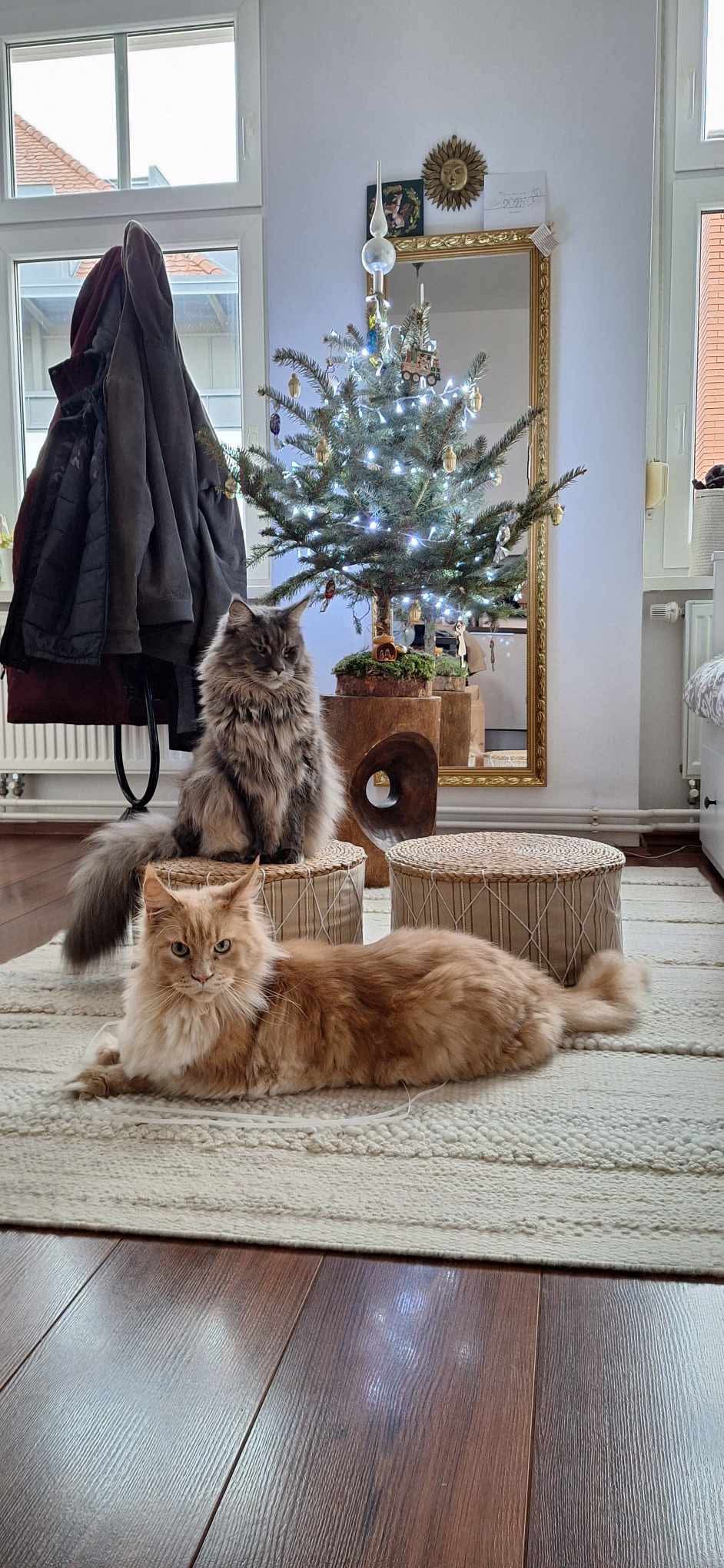 Sanja in Peter, lastnika Fraierce in Erasma